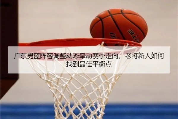 广东男篮阵容调整动态牵动赛季走向，老将新人如何找到最佳平衡点